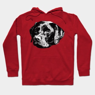 Chocolate Lab Labrador Retriever Hoodie